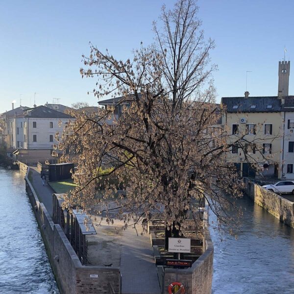 mura di Treviso